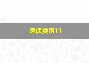 医保类别11