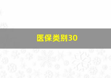 医保类别30