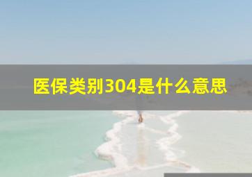 医保类别304是什么意思