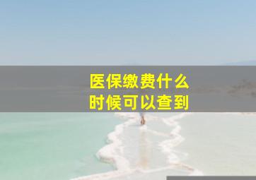 医保缴费什么时候可以查到