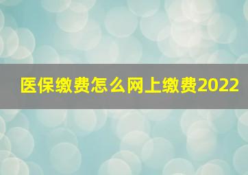 医保缴费怎么网上缴费2022