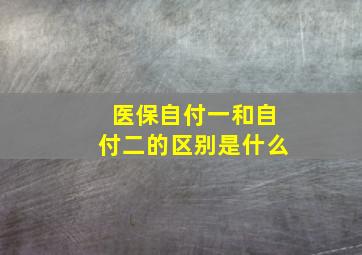 医保自付一和自付二的区别是什么