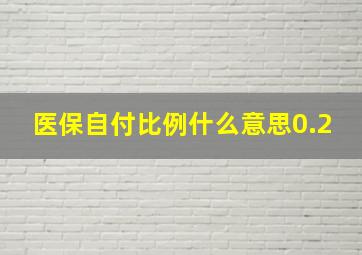 医保自付比例什么意思0.2