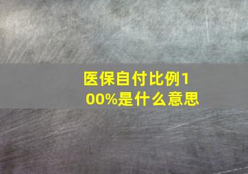 医保自付比例100%是什么意思