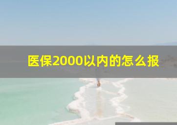 医保2000以内的怎么报