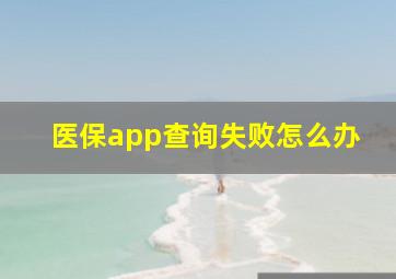 医保app查询失败怎么办