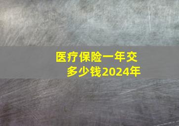 医疗保险一年交多少钱2024年