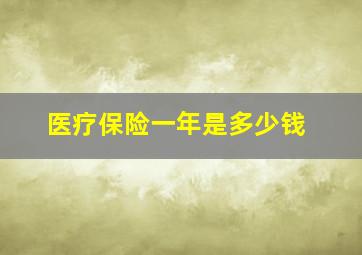 医疗保险一年是多少钱