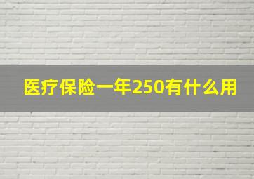 医疗保险一年250有什么用