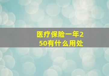 医疗保险一年250有什么用处