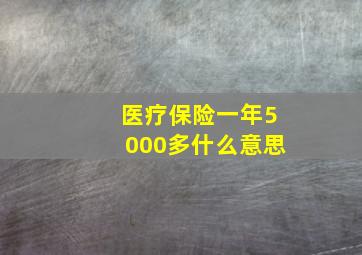 医疗保险一年5000多什么意思