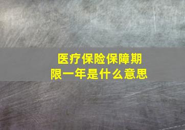 医疗保险保障期限一年是什么意思