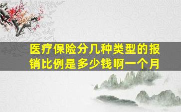 医疗保险分几种类型的报销比例是多少钱啊一个月