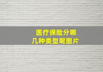 医疗保险分哪几种类型呢图片