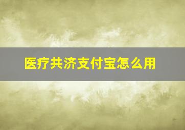 医疗共济支付宝怎么用