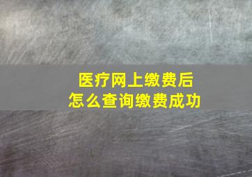 医疗网上缴费后怎么查询缴费成功