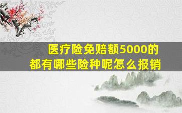 医疗险免赔额5000的都有哪些险种呢怎么报销