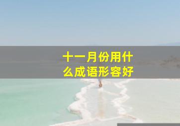 十一月份用什么成语形容好