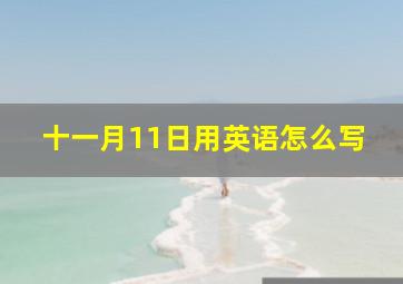 十一月11日用英语怎么写