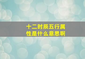 十二时辰五行属性是什么意思啊