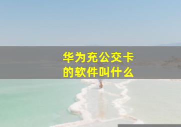 华为充公交卡的软件叫什么