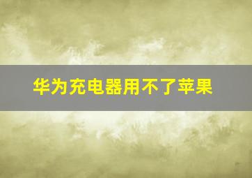 华为充电器用不了苹果