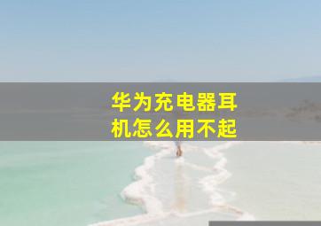 华为充电器耳机怎么用不起