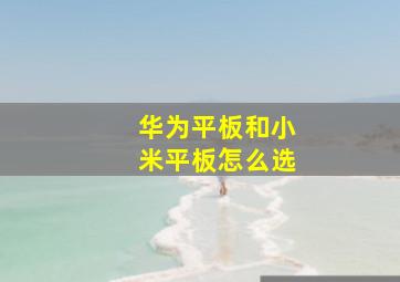 华为平板和小米平板怎么选