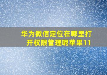 华为微信定位在哪里打开权限管理呢苹果11