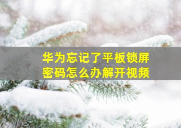 华为忘记了平板锁屏密码怎么办解开视频