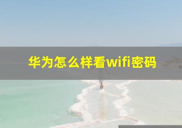 华为怎么样看wifi密码