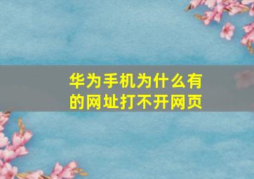 华为手机为什么有的网址打不开网页