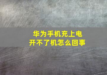 华为手机充上电开不了机怎么回事