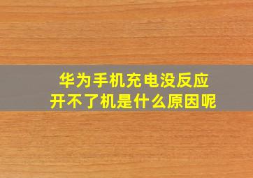 华为手机充电没反应开不了机是什么原因呢