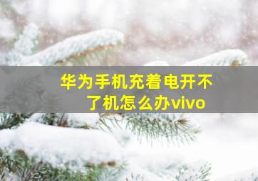 华为手机充着电开不了机怎么办vivo