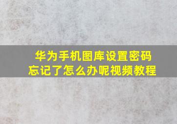 华为手机图库设置密码忘记了怎么办呢视频教程