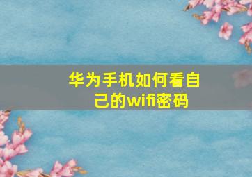 华为手机如何看自己的wifi密码