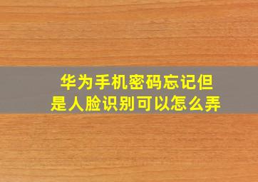 华为手机密码忘记但是人脸识别可以怎么弄