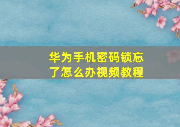 华为手机密码锁忘了怎么办视频教程