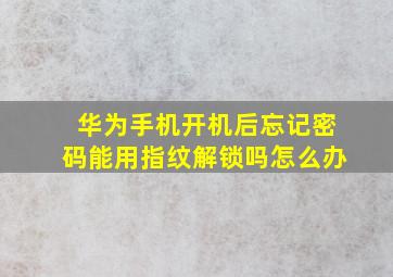 华为手机开机后忘记密码能用指纹解锁吗怎么办