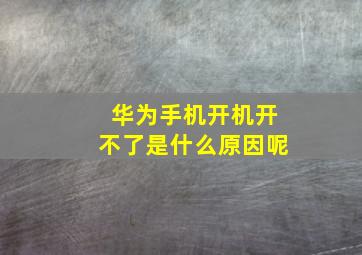 华为手机开机开不了是什么原因呢