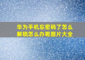 华为手机忘密码了怎么解锁怎么办呢图片大全