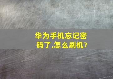 华为手机忘记密码了,怎么刷机?