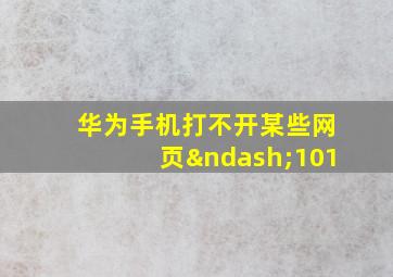 华为手机打不开某些网页–101