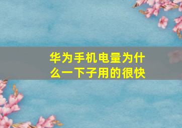 华为手机电量为什么一下子用的很快