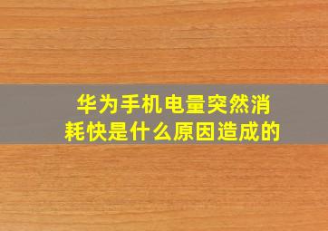 华为手机电量突然消耗快是什么原因造成的