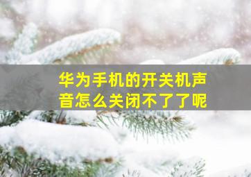 华为手机的开关机声音怎么关闭不了了呢