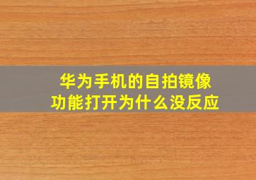 华为手机的自拍镜像功能打开为什么没反应