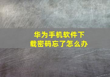 华为手机软件下载密码忘了怎么办