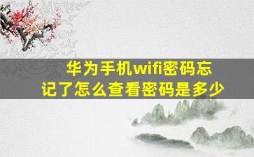 华为手机wifi密码忘记了怎么查看密码是多少